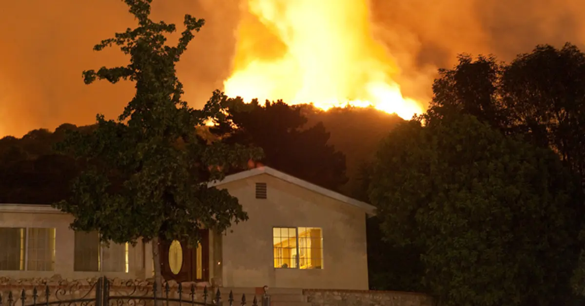 Airport Fire Ravages Southern California: 115 Homes Lost, Travel in Chaos