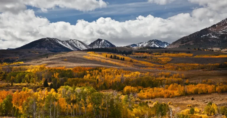 Colorado Fall Foliage Beyond Aspens - ExploreHeadlines.com